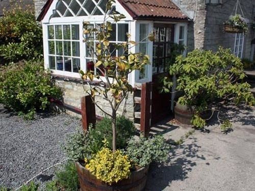 The Lion At Inn West Pennard